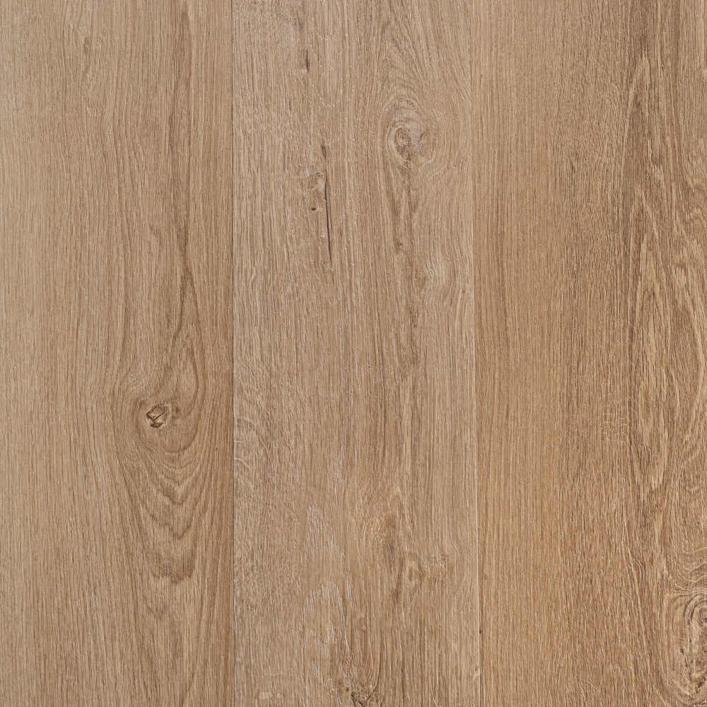 Axia 2mm Gluedown LVT Flooring - Sample