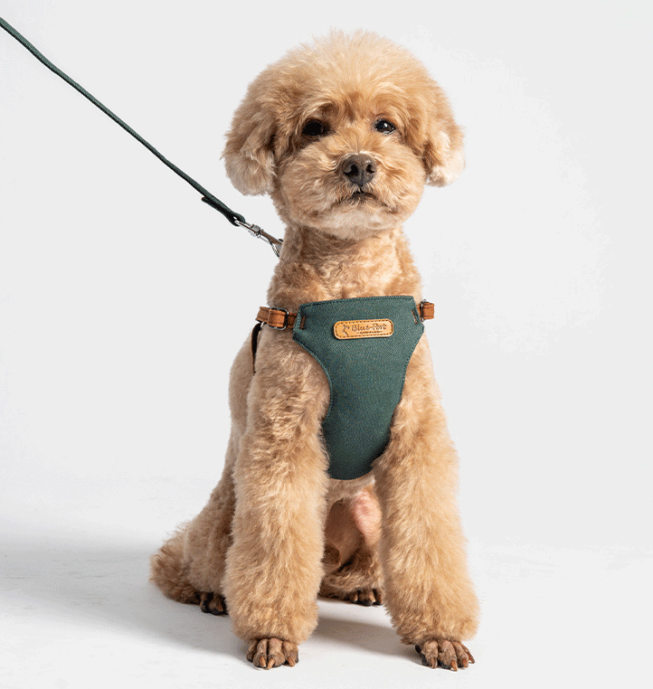 Japanese design 100% cotton super soft harness with lead set for dogs and cats