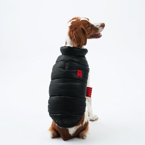 Korean Design Waterproof Teddy Bear Winter Eco Leather Puffer Jacket for Dogs / Cats