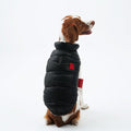 Korean Design Waterproof Teddy Bear Winter Eco Leather Puffer Jacket for Dogs / Cats