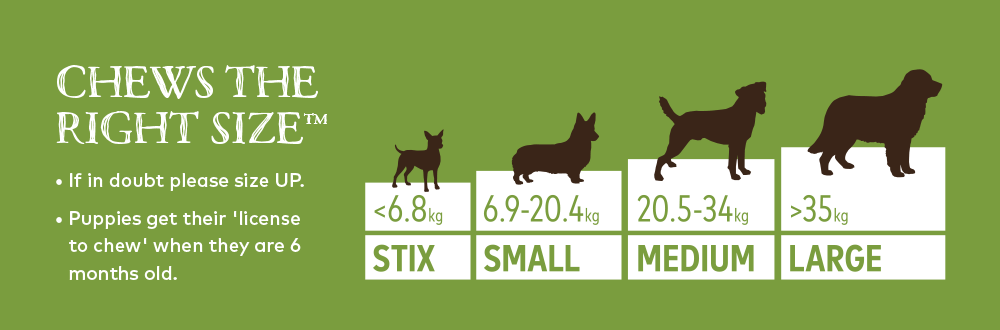 Earth Animal No Hide Venison Chews