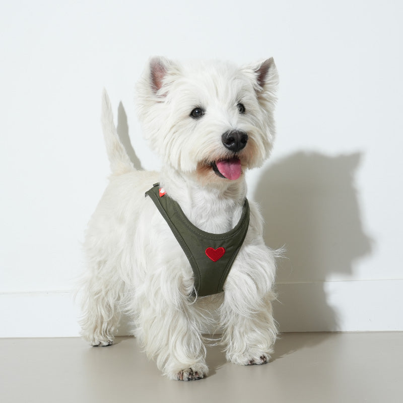 Puppy Gallery Korea - Water Resistance Heart Harness for Dogs & Cats