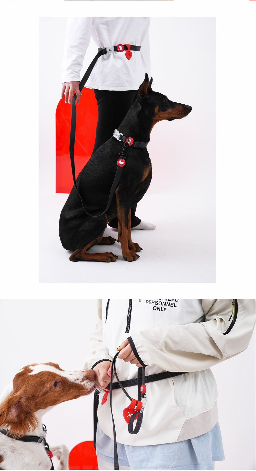 Puppy Gallery Korea - Water Resistance Heart Lead and Poop Bag holder