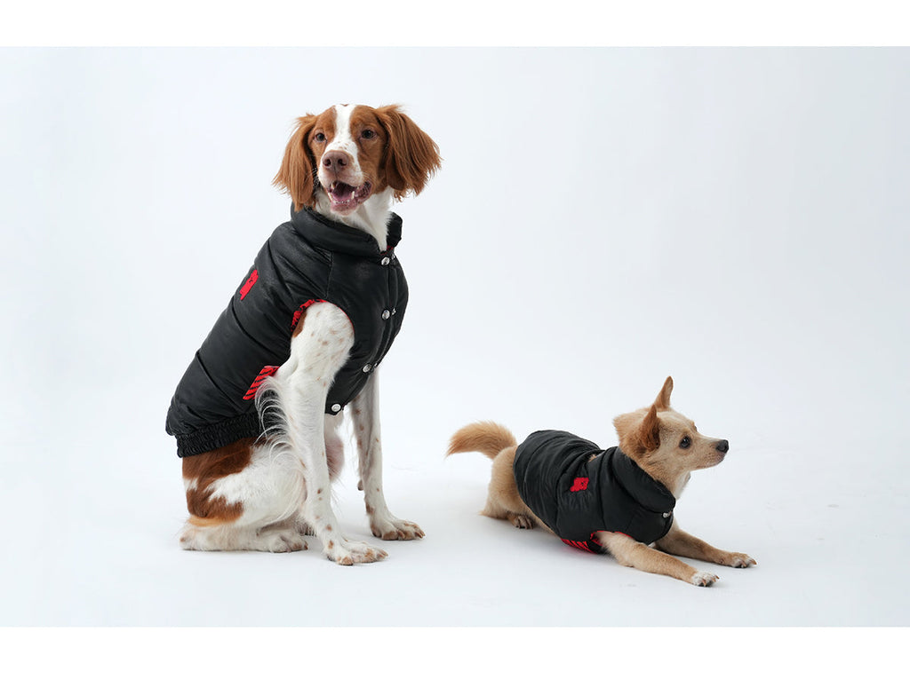 Korean Design Waterproof Teddy Bear Winter Eco Leather Puffer Jacket for Dogs / Cats