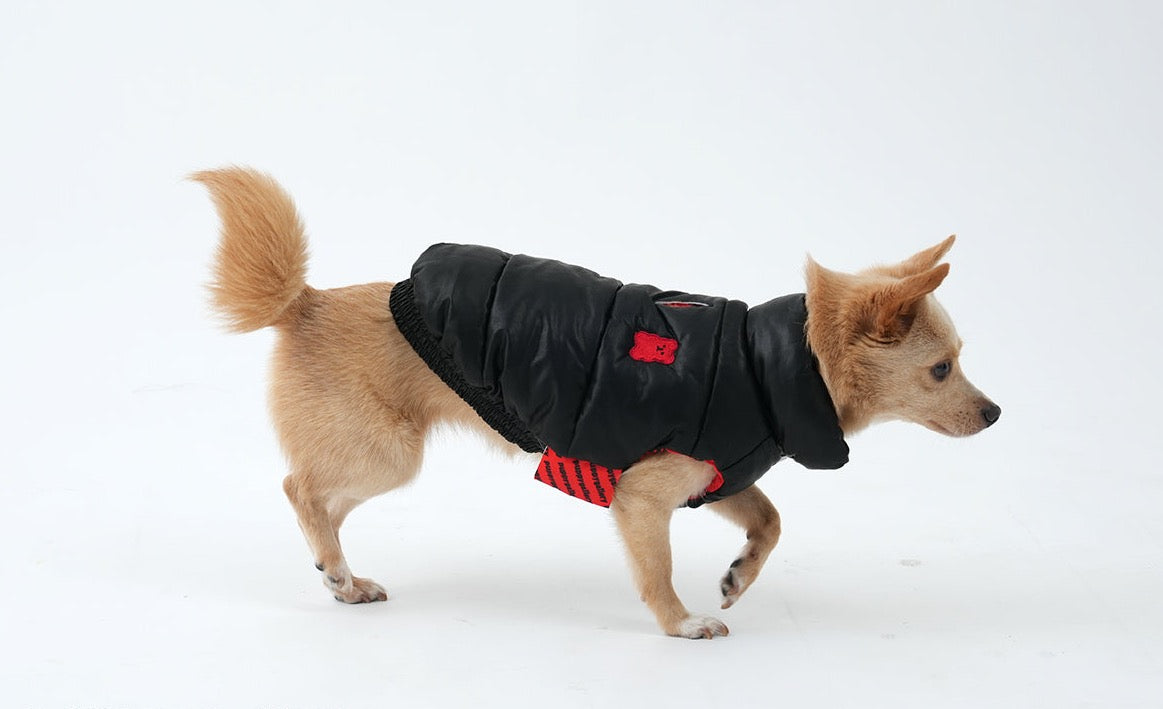 Korean Design Waterproof Teddy Bear Winter Eco Leather Puffer Jacket for Dogs / Cats