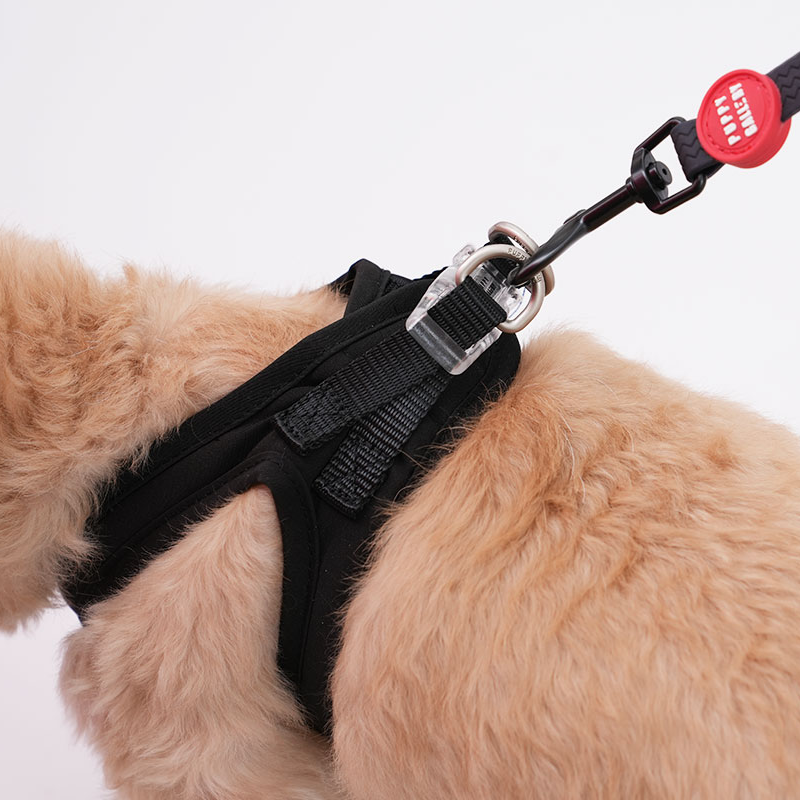 Puppy Gallery Korea - Water Resistance Heart Harness for Dogs & Cats