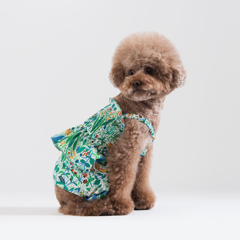 Korean Design Summer Dog Outfit