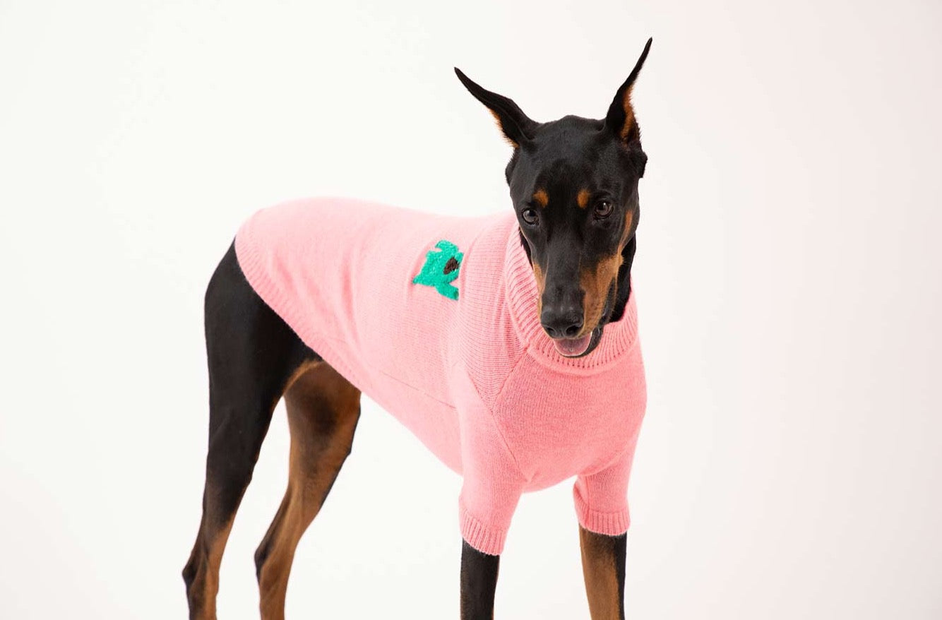 Korean Design Knitted Gorilla Dog / Cat Jumper - Pink / Orange / Blue / Green