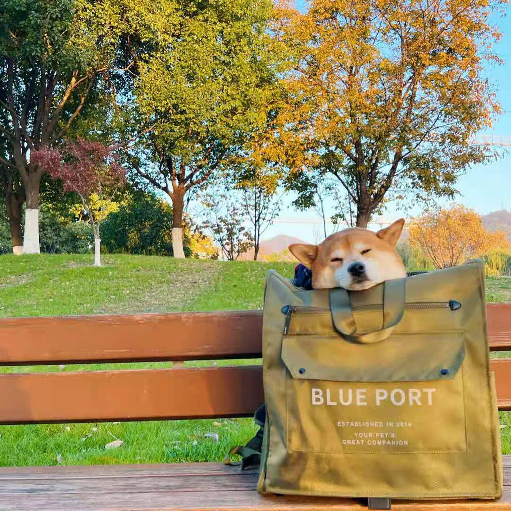 Japanese design Dog/Cat Carrier Backpack up to 15kg