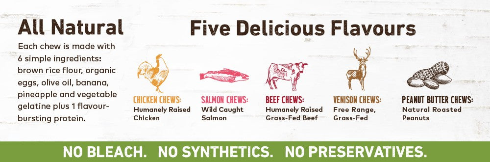 Earth Animal No Hide Venison Chews