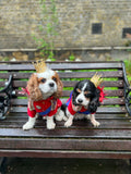 Royal Ceremonial Uniform for dog and cat