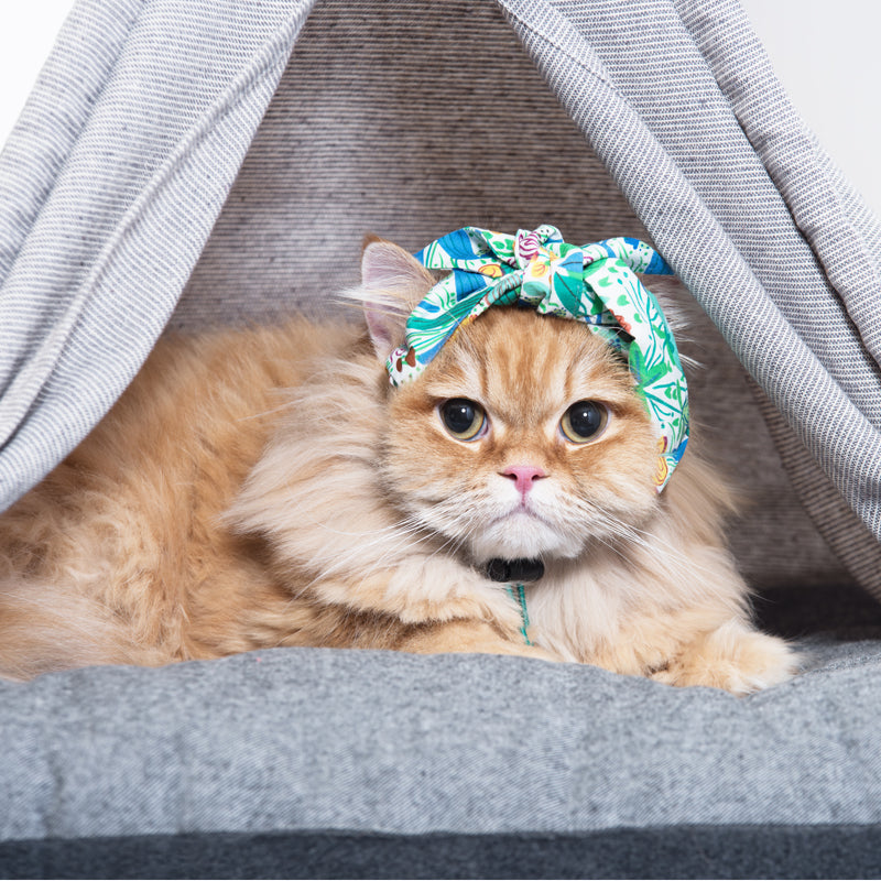 Korean Design Pet Tee Pee