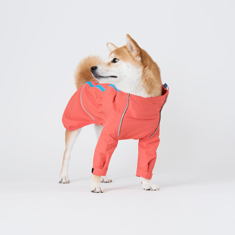 Korea Design Dog Windbreaker Raincoat, 2 legs