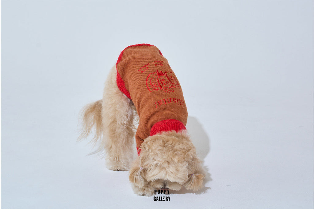 Korean Design Happy Pet Knitted Jumper for Dogs / Cats