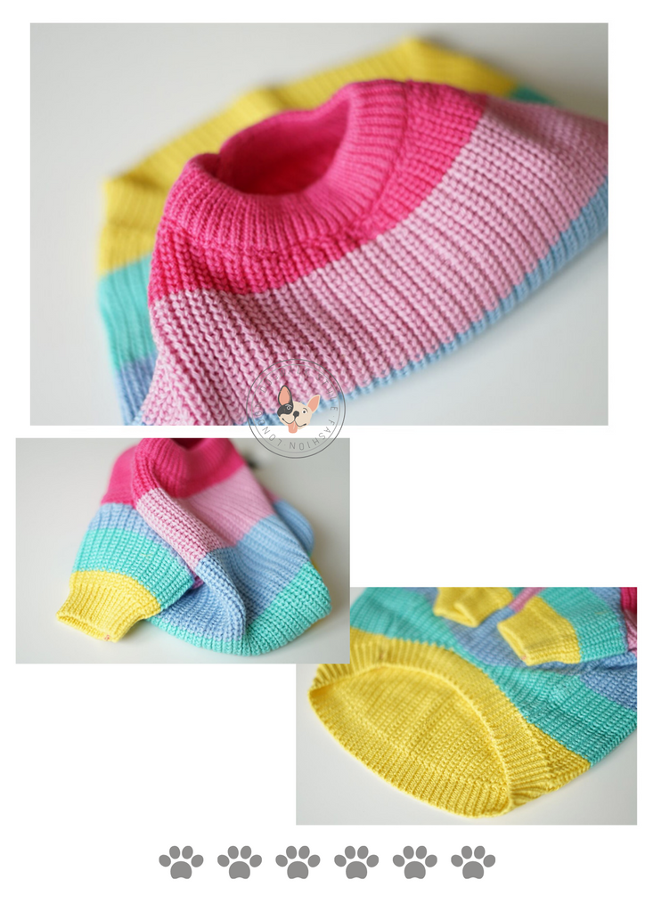 Rainbow Dog Jumper