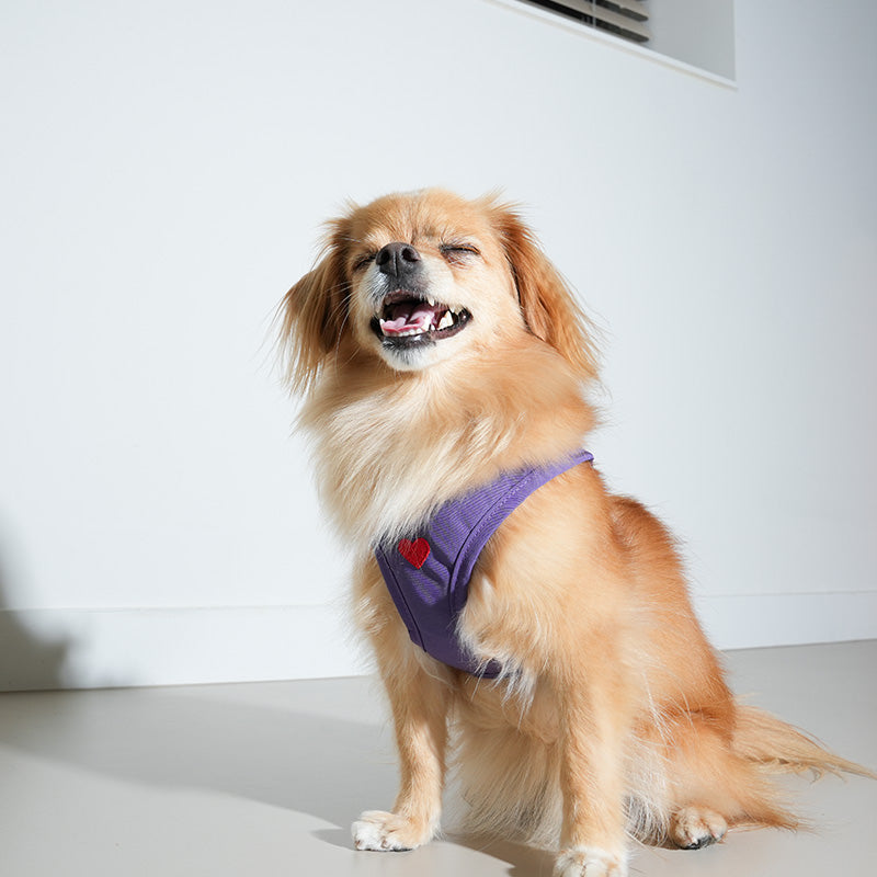 Puppy Gallery Korea - Water Resistance Heart Harness for Dogs & Cats