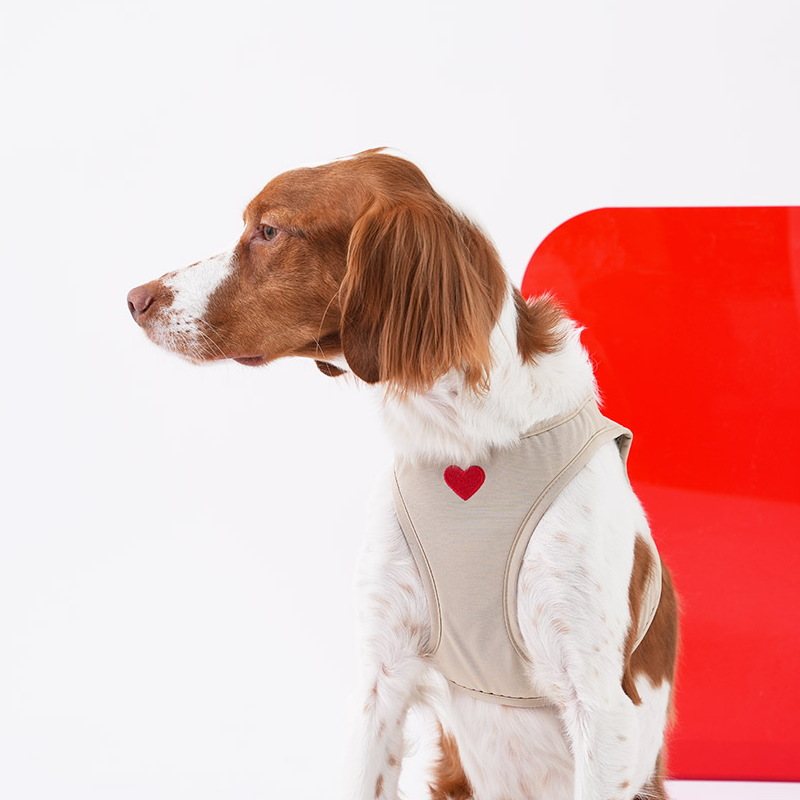 Puppy Gallery Korea - Water Resistance Heart Harness for Dogs & Cats