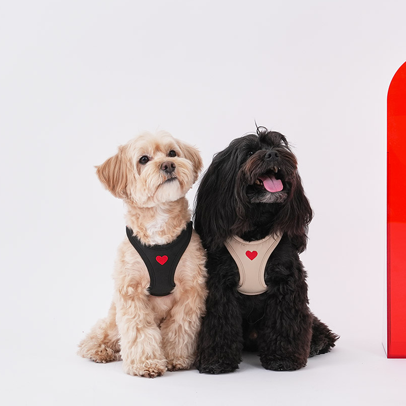 Puppy Gallery Korea - Water Resistance Heart Harness for Dogs & Cats