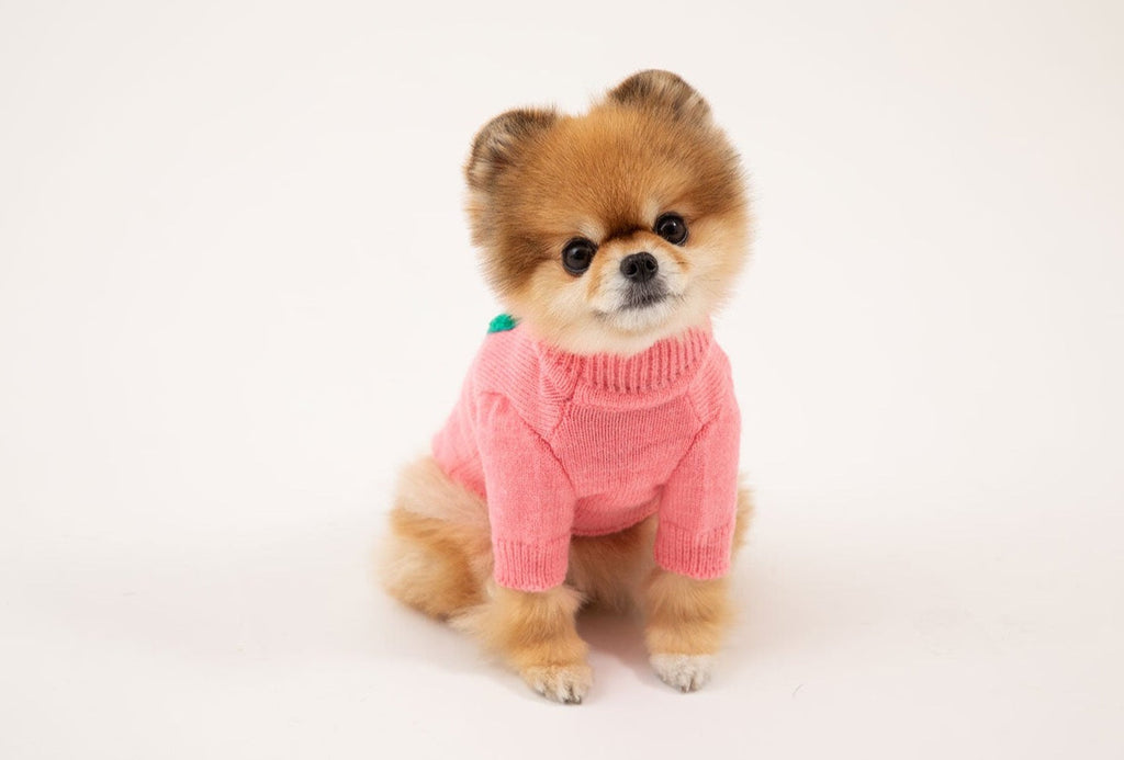 Korean Design Knitted Gorilla Dog / Cat Jumper - Pink / Orange / Blue / Green
