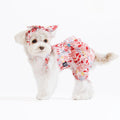 Korean Design Summer Dog Outfit