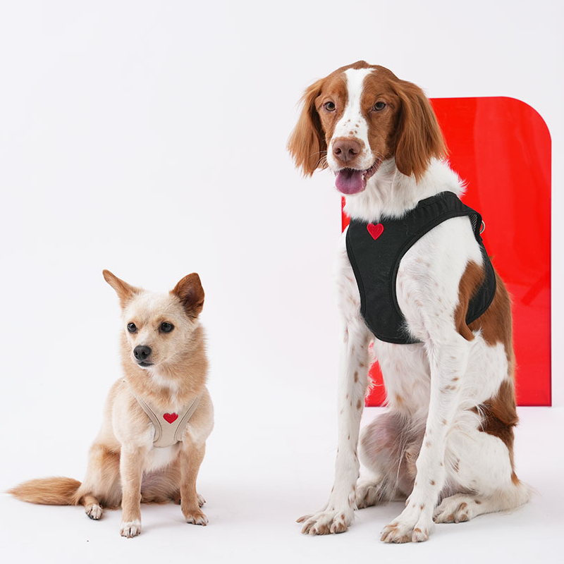 Puppy Gallery Korea - Water Resistance Heart Harness for Dogs & Cats