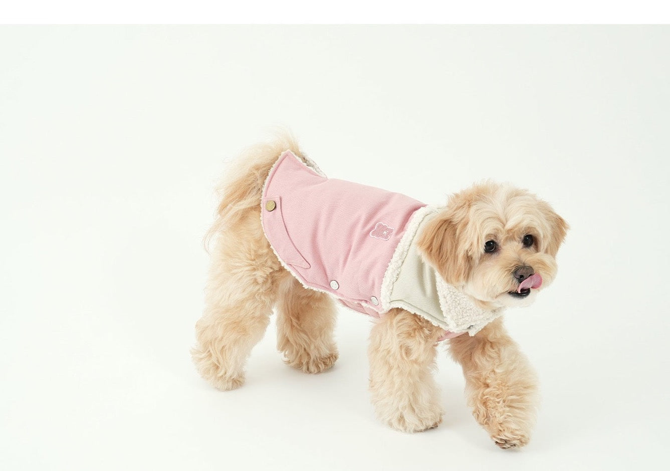 Korean Design Teddy Bear Fleece Winter Puffer Jacket for Dogs / Cats