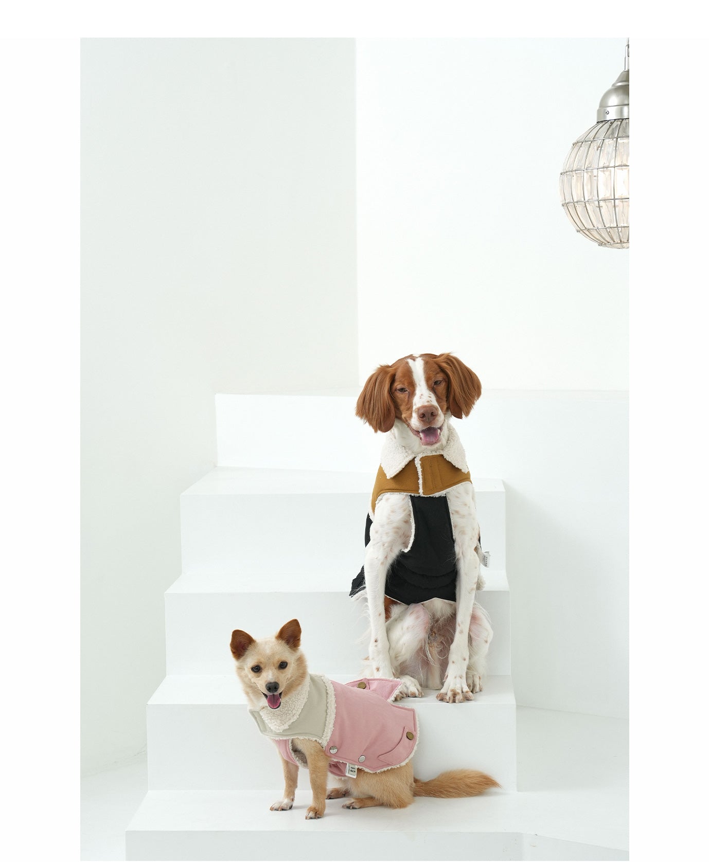 Korean Design Teddy Bear Fleece Winter Puffer Jacket for Dogs / Cats