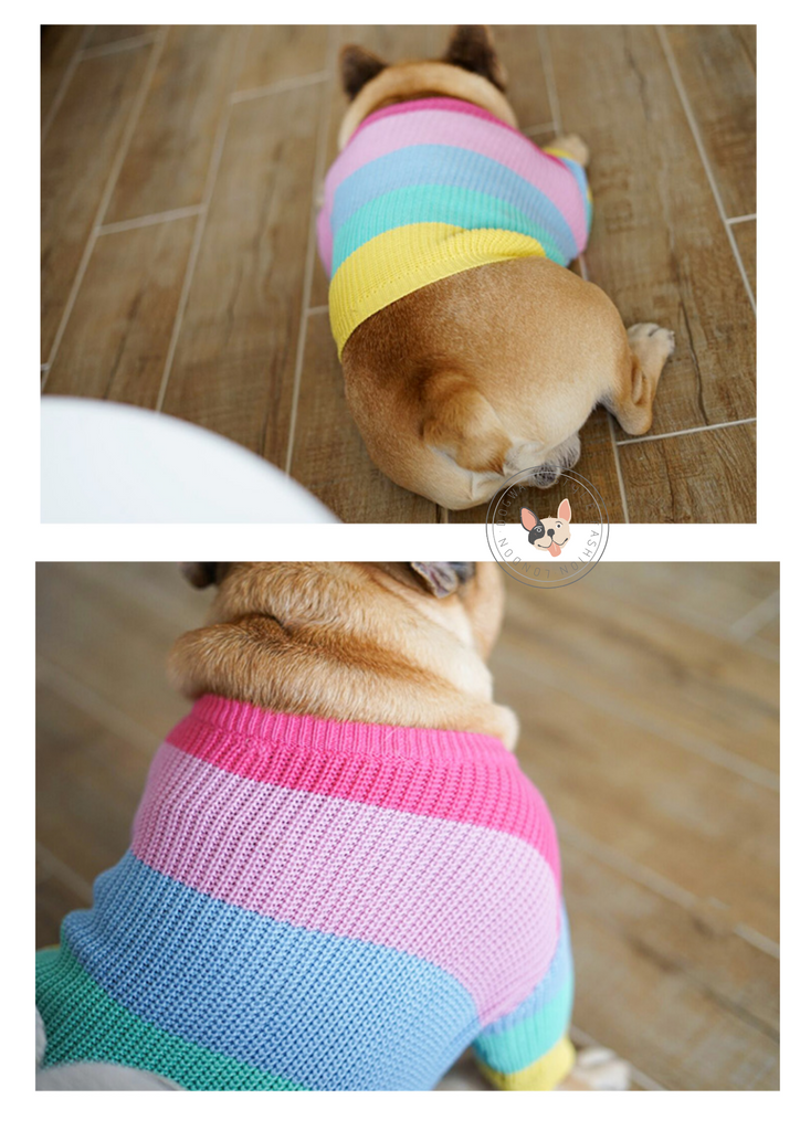 Rainbow Dog Jumper