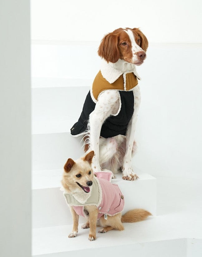 Korean Design Teddy Bear Fleece Winter Puffer Jacket for Dogs / Cats