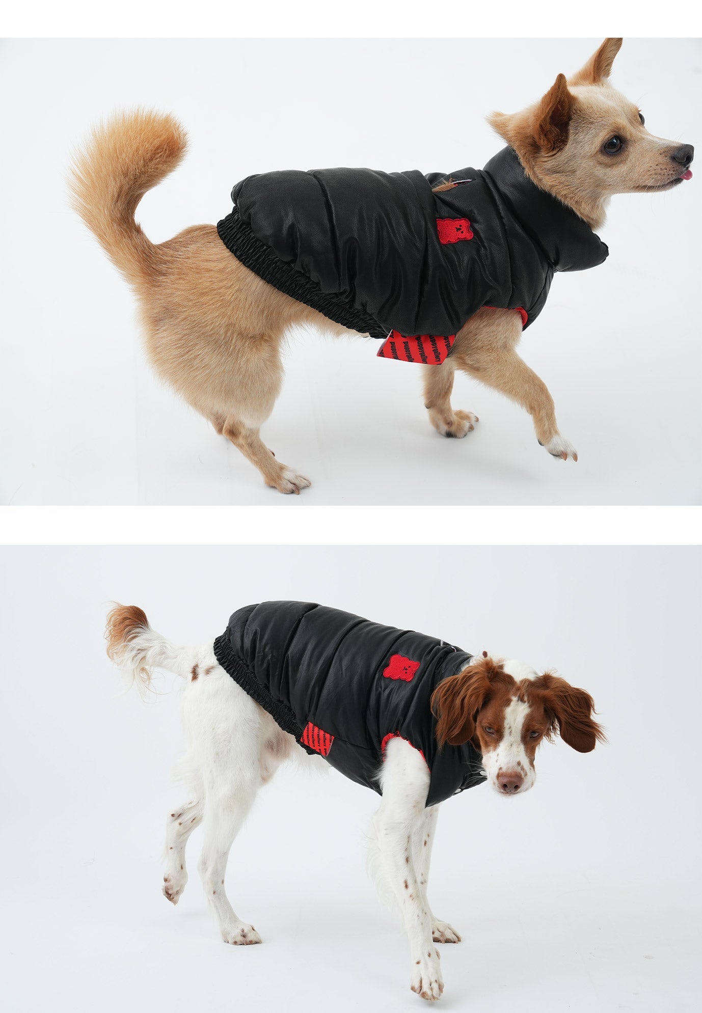 Korean Design Waterproof Teddy Bear Winter Eco Leather Puffer Jacket for Dogs / Cats