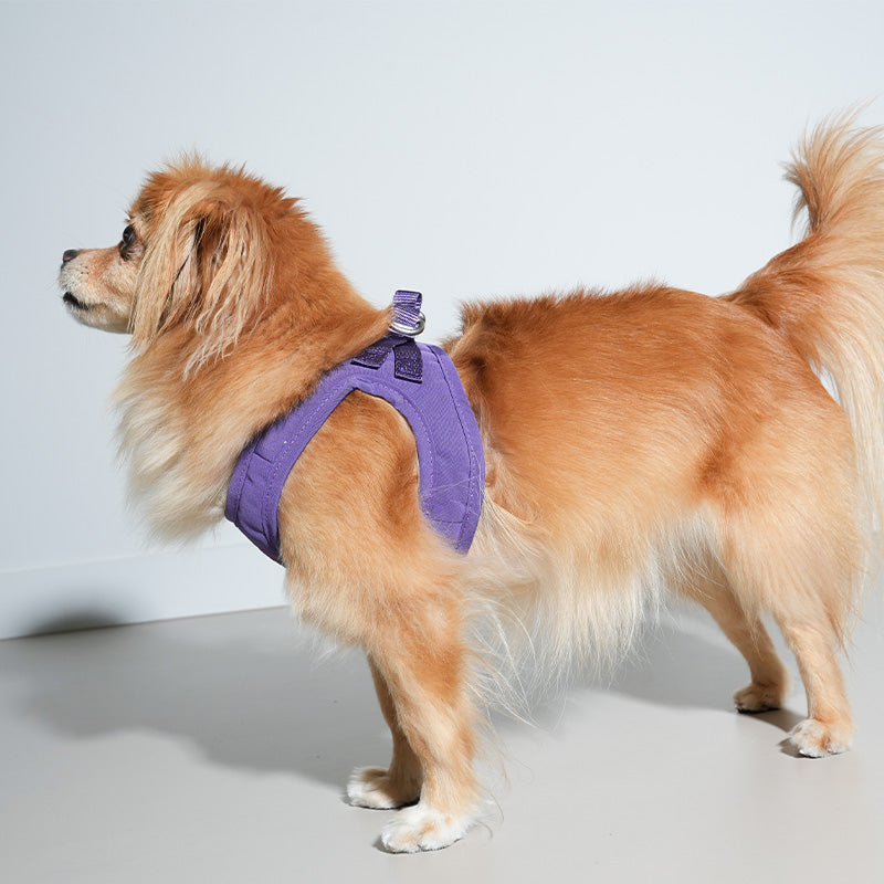 Puppy Gallery Korea - Water Resistance Heart Harness for Dogs & Cats