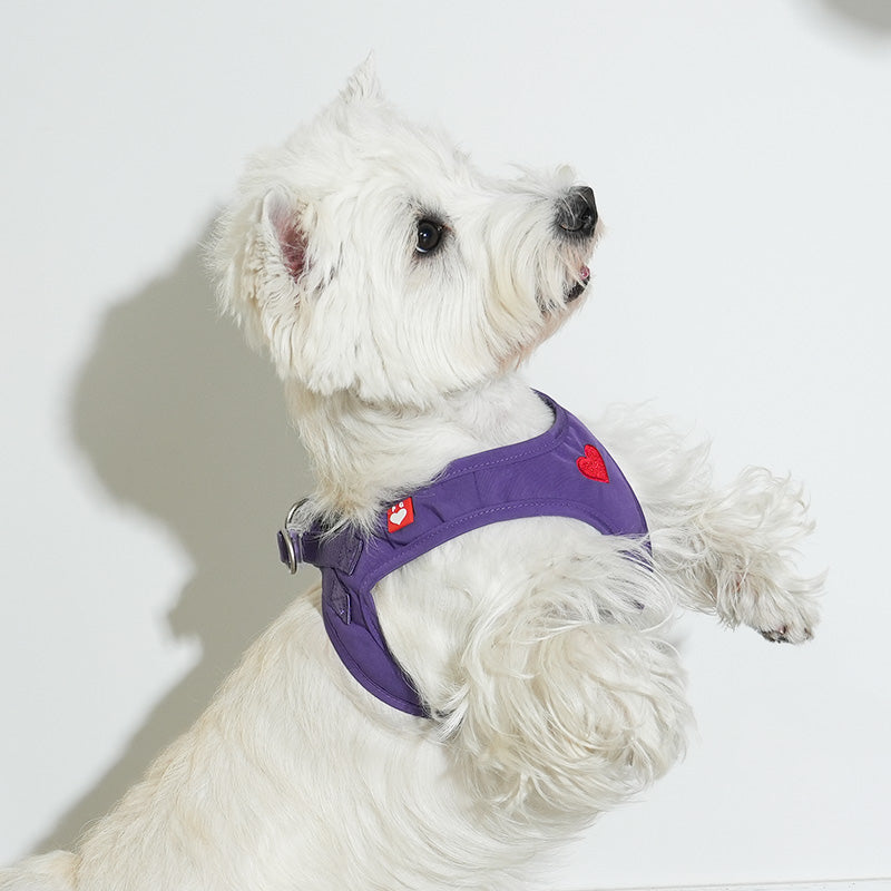 Puppy Gallery Korea - Water Resistance Heart Harness for Dogs & Cats