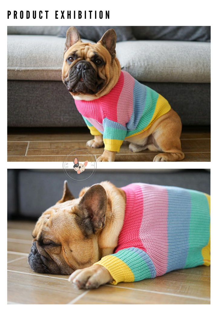 Rainbow Dog Jumper