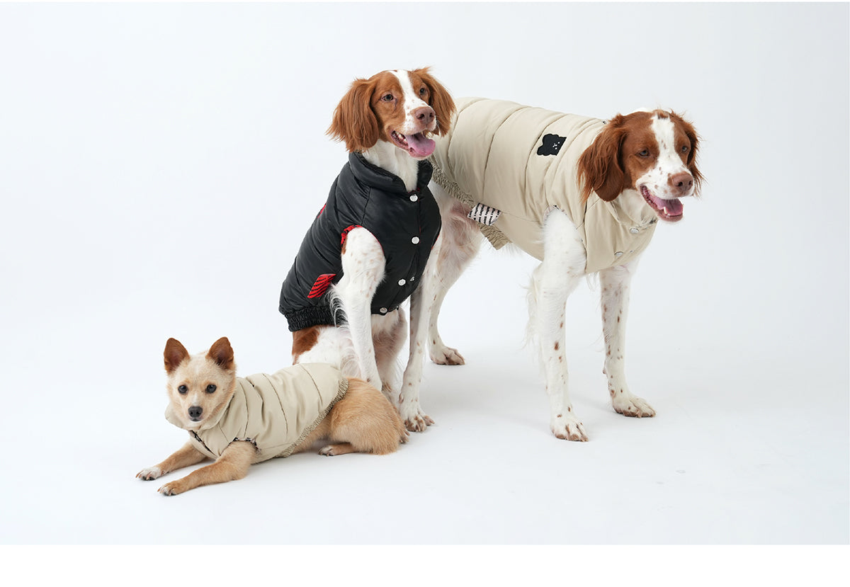 Korean Design Waterproof Teddy Bear Winter Eco Leather Puffer Jacket for Dogs / Cats