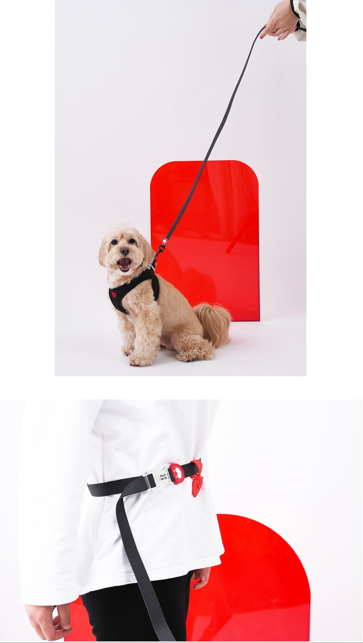 Puppy Gallery Korea - Water Resistance Heart Lead and Poop Bag holder