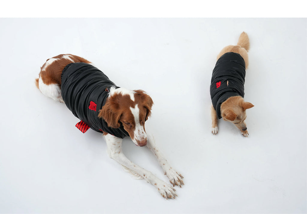 Korean Design Waterproof Teddy Bear Winter Eco Leather Puffer Jacket for Dogs / Cats