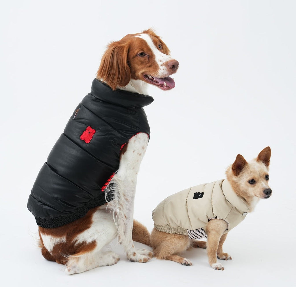Korean Design Waterproof Teddy Bear Winter Eco Leather Puffer Jacket for Dogs / Cats
