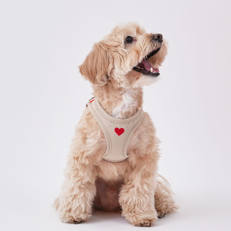 Puppy Gallery Korea - Water Resistance Heart Harness for Dogs & Cats