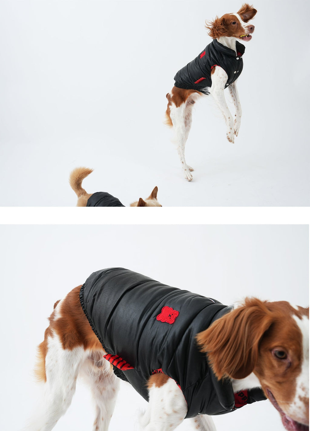 Korean Design Waterproof Teddy Bear Winter Eco Leather Puffer Jacket for Dogs / Cats
