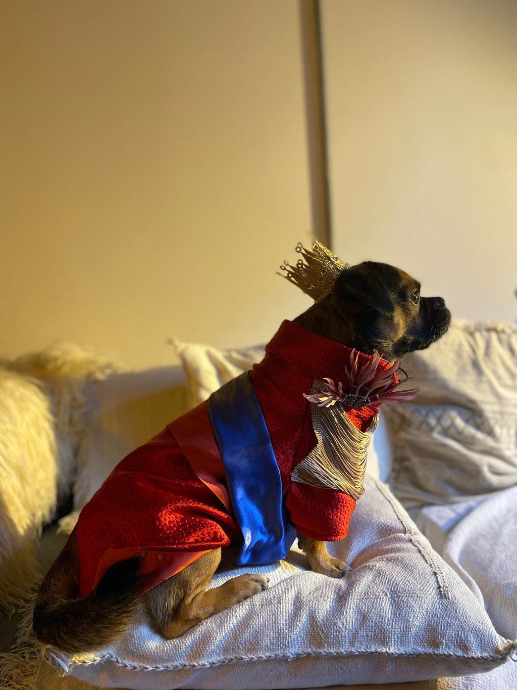 Royal Ceremonial Uniform for dog and cat